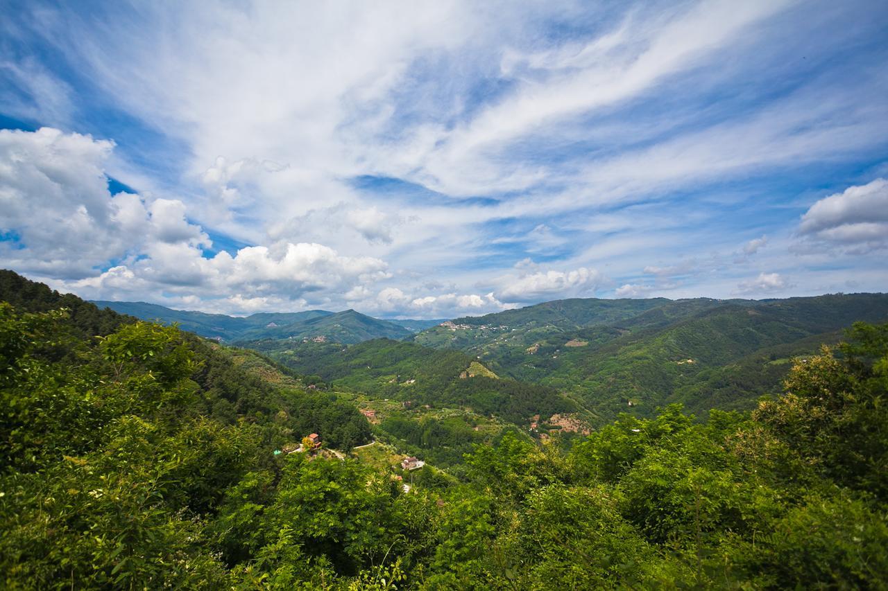 Fattoria Di Pietrabuona Apartment Pescia Ngoại thất bức ảnh