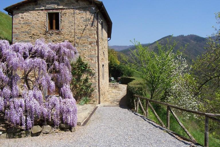 Fattoria Di Pietrabuona Apartment Pescia Ngoại thất bức ảnh