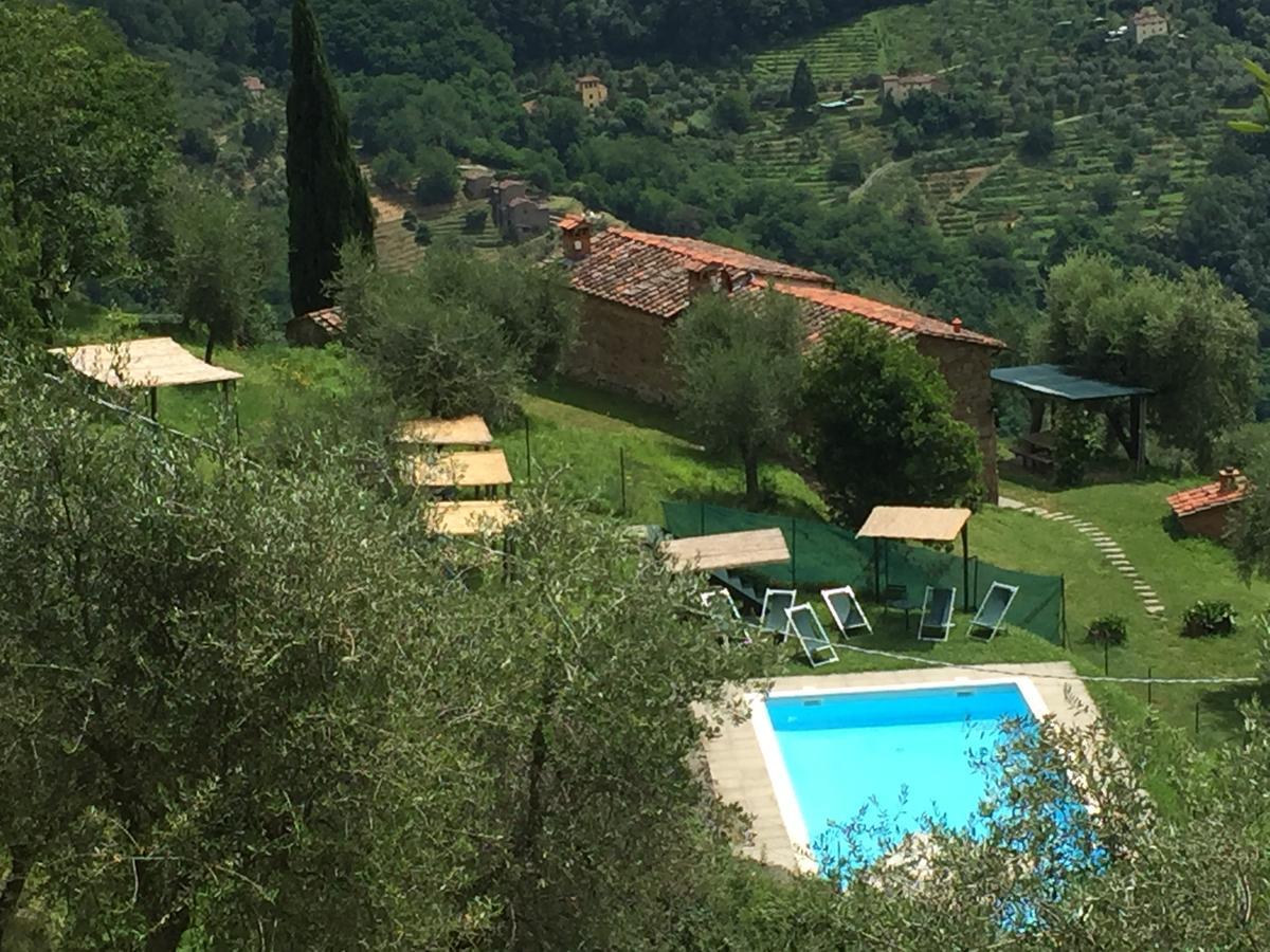 Fattoria Di Pietrabuona Apartment Pescia Ngoại thất bức ảnh