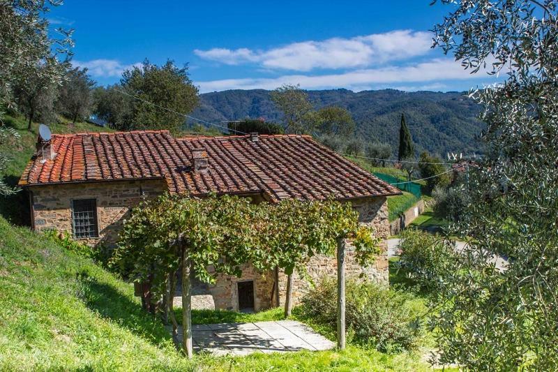 Fattoria Di Pietrabuona Apartment Pescia Ngoại thất bức ảnh